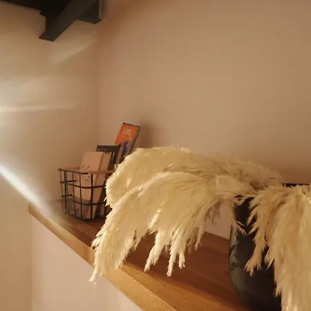 Apartmán Narutowicza 56 Lodž