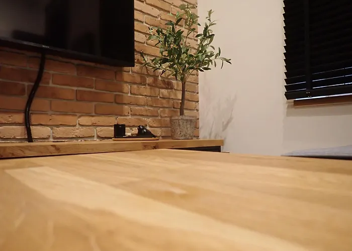 Apartment Narutowicza 56 *