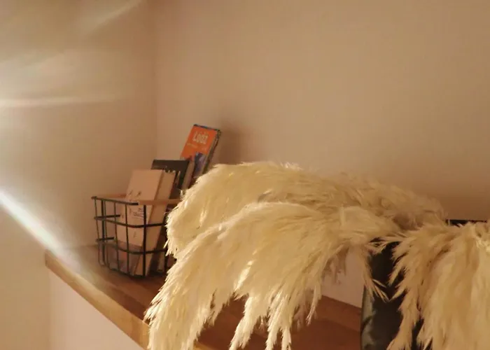 Apartment Narutowicza 56 Łódź