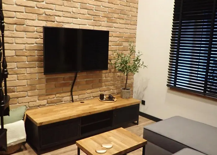 Narutowicza 56 Apartment Łódź